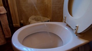 Piss into toilet