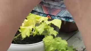 Pissing in public couldn't hold it