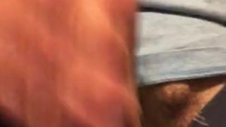 Jerking off a good hard on