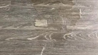 Lazy Couch Piss