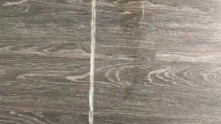Lazy Couch Piss