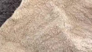 Some Morning Self Love