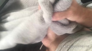 DAILY JERK OFF: Guy Rubs His Cock and Cums Into a Blanket