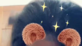 Snapchat filter