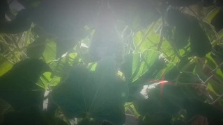 May Queen Gets Dirty With Zucchini