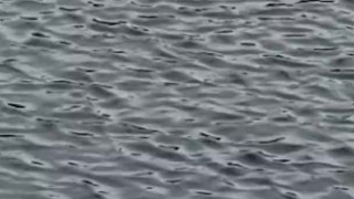 Rub my cock watching my wife masturbate on a public jetty, almost caught! 