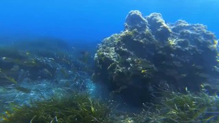 Public beach. Nude snorkeling / Underwater. Save the ocean and have fun!
