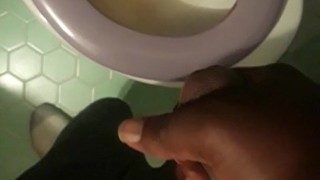 Quick nut