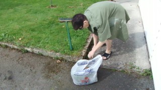 Sexy Cleaning In My Garden In Man's Shirt And Sexy Lingerie...Pulling Weed!