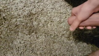 Pissing the carpet and cum