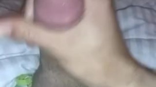 What's your thoughts