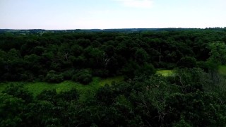 AllHerLuvDOTcom - The Producer - Teaser