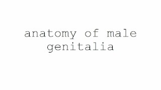 masturbation techniques for men. stimulation of the scrotum.