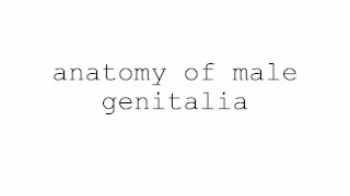 masturbation techniques for men. stimulation of the perianal area and anus.