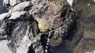 Quick piss before I launch my kayak