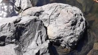 Quick piss before I launch my kayak