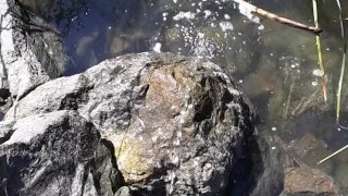 Quick piss before I launch my kayak