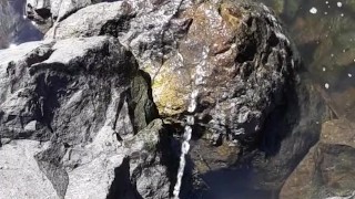 Quick piss before I launch my kayak