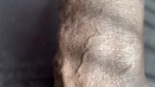 Veins On My Dick