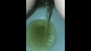Pee Compilation 1 with hairy bush