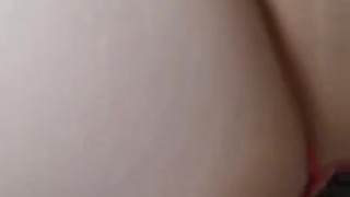 Bounce big kitty 