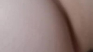 Bounce big kitty 