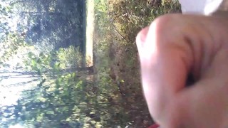 A Day in the Woods Pt:2