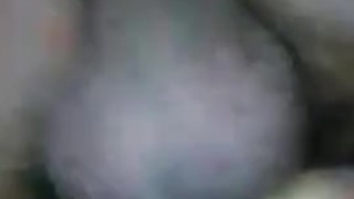 Enseñando la verga