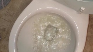 Girl Stands To Pee In Toliet Like A Boy