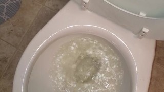 Girl Stands To Pee In Toliet Like A Boy