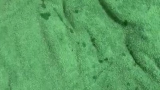 Cumshot fun 