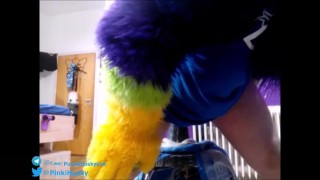 Play whit the ee orca