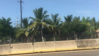 MILFs road trip in Mexico 3rd time pulling off to play in public