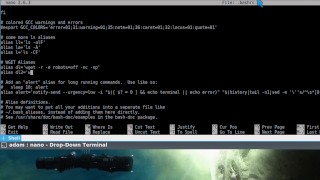 Linux Time Saving Tip: Use Bash Aliases for Commands!