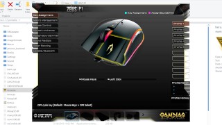 A MOUSE OF GODS? Or RGB Plebs? - GAMDIAS Zeus P1 RGB Mouse Review