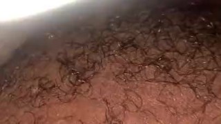 BBW Amateur Pussy Play While Roommates Are Home