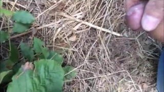 outdoor jack