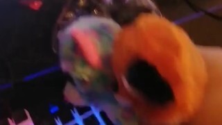 Beanie Boo Sex Hardcore