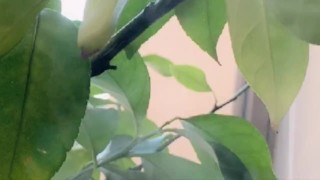  Smoke Smoking Fetish