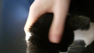 Stroking mixed goddess pussy