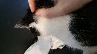 Stroking mixed goddess pussy