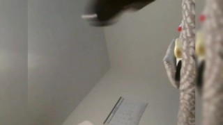 Mr. GA BBC STROKING NUT OUT