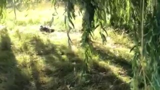 Teen pees outdoors and flashes publicly 