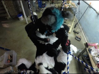 murrsuiter porn videos - BoulX.com