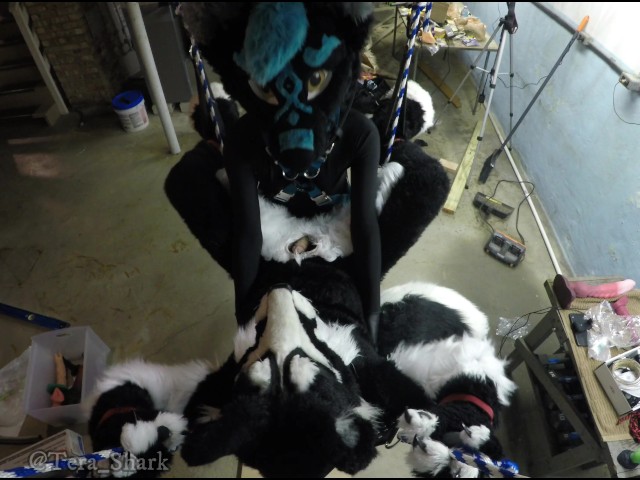 Murrsuiter Gets Pegged Hard by a Dominatrix in a Swing 