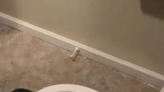 Bathroom pissing