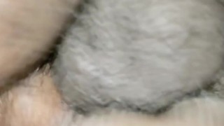 Doggy Style creampie Ebony BHM on BBW, fat swolen clit. ASMR Dick Pounding