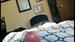 Tip's Beautiful Cock: A Study (2 "full features and 35 cumshots!!!)
