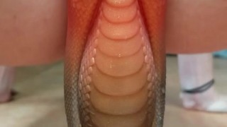 hairy pussy lips grip bad dragon