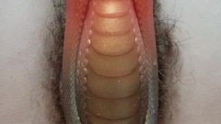 hairy pussy lips grip bad dragon